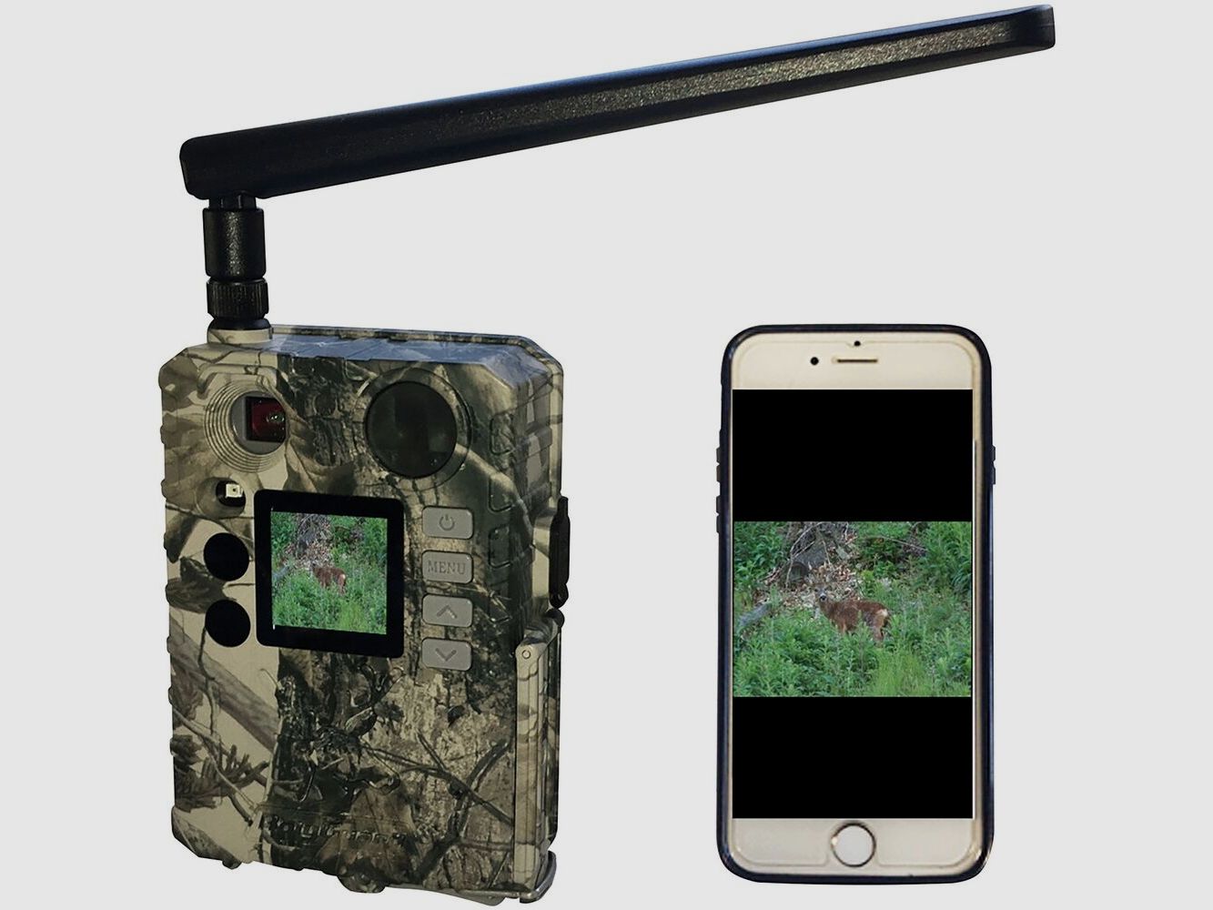 Kamera leśna Berger & Schröter 4G/LTE, BG310-M, 18MP