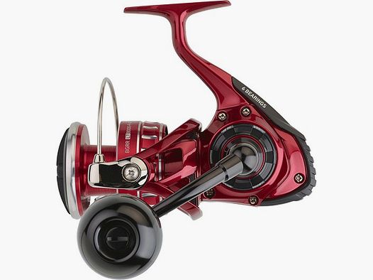 DAIWA CARRETE BG RR LT 8000 P ARK