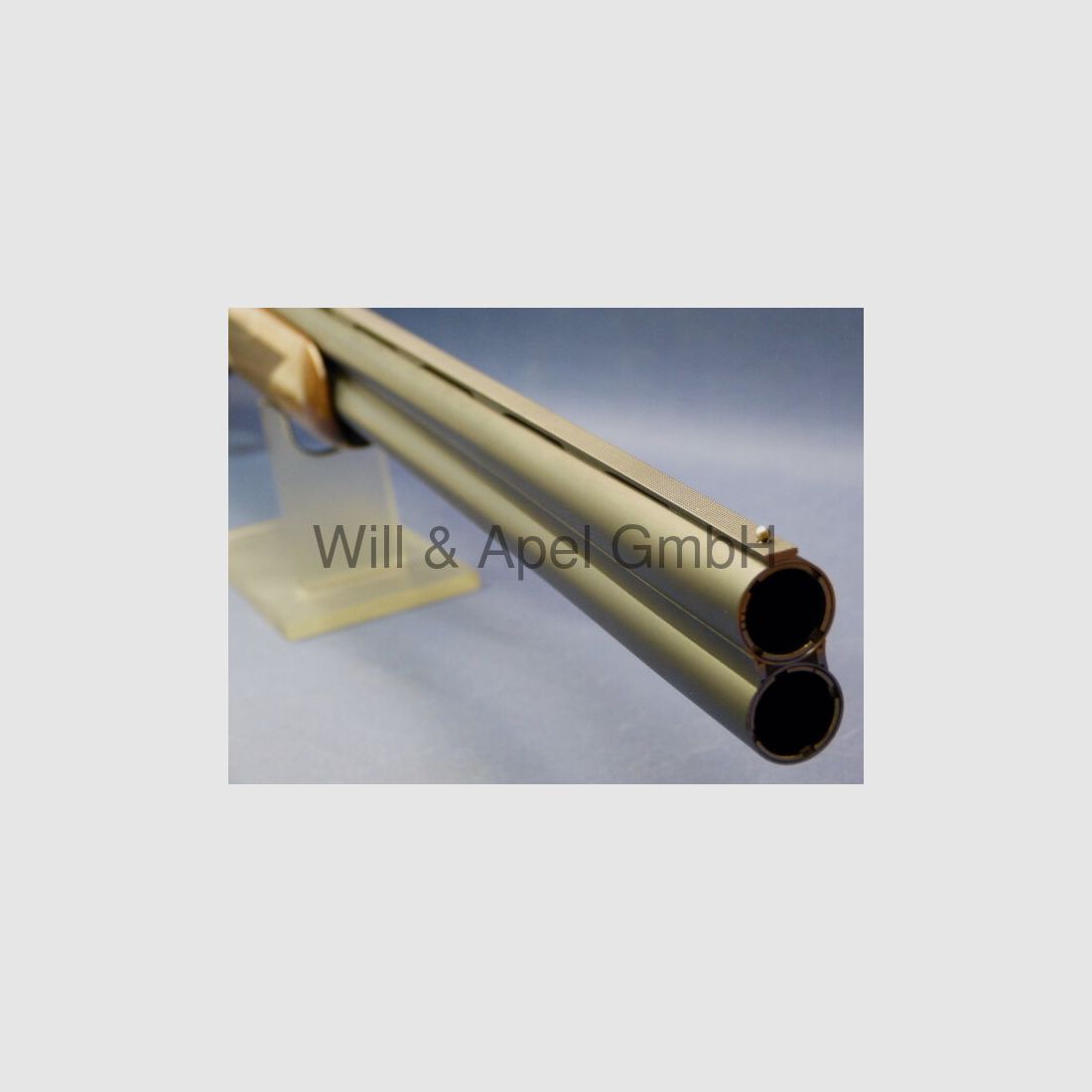 Blaser F16 GAME