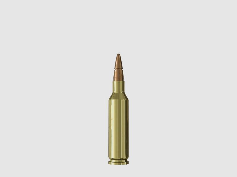 SAX KJG-HSR 6 mm Creedmoor 5g, image 2 sur 2