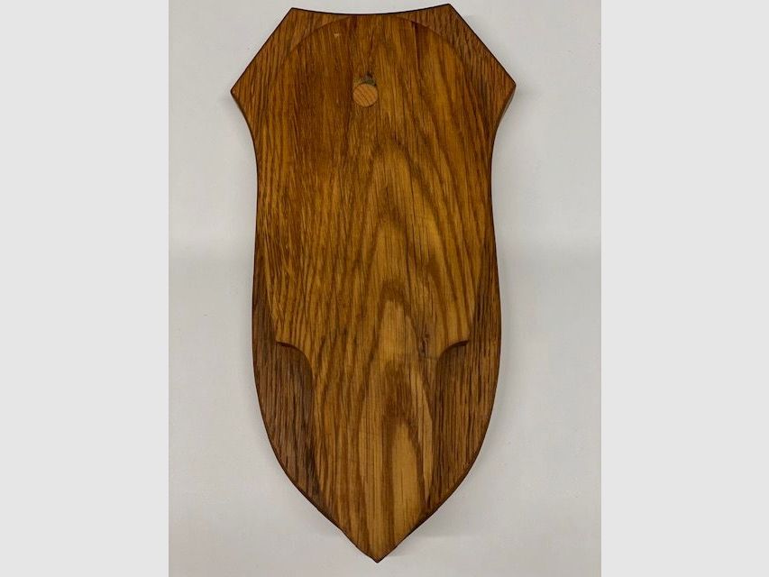 Écussons 23,5cmx12cm