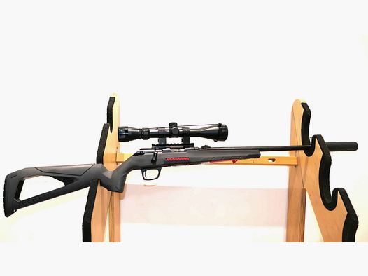 PACK BÜCHSE WINCHESTER XPERT COMPO ZIELFERNROHR+MDS KAL 22LR