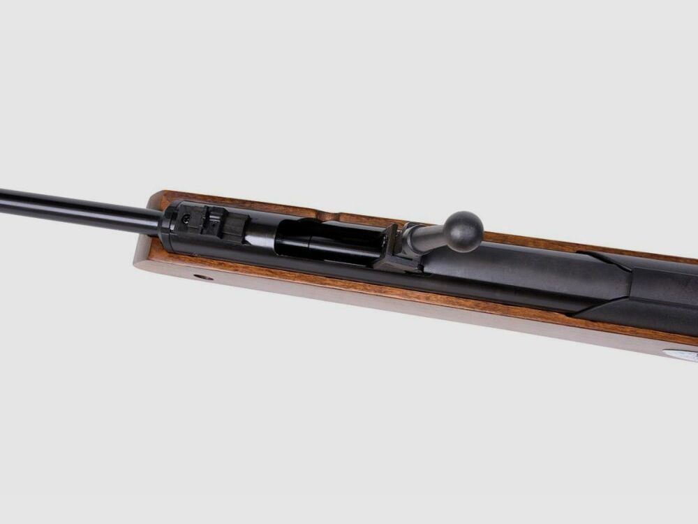 Diana Luftgewehr Diana Oktoberfest, 4,4mm BB