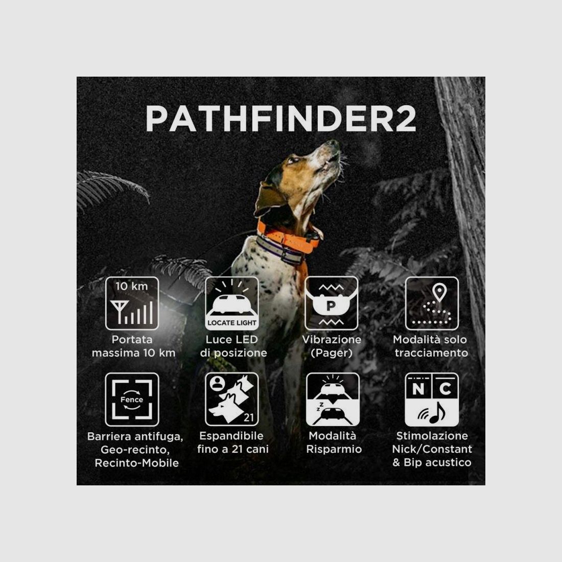 Collier GPS Pathfinder 2 satellite, image 2 sur 2