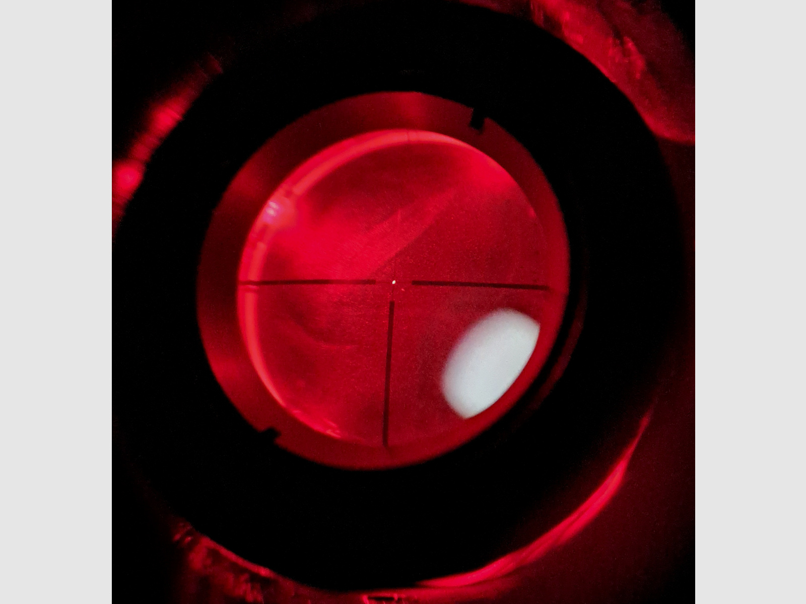 RWS ZF Supreme mit LP