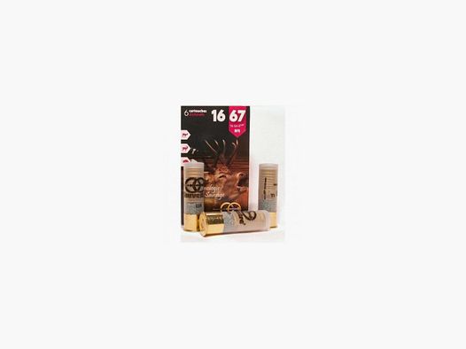 SAUVESTRE 16/67