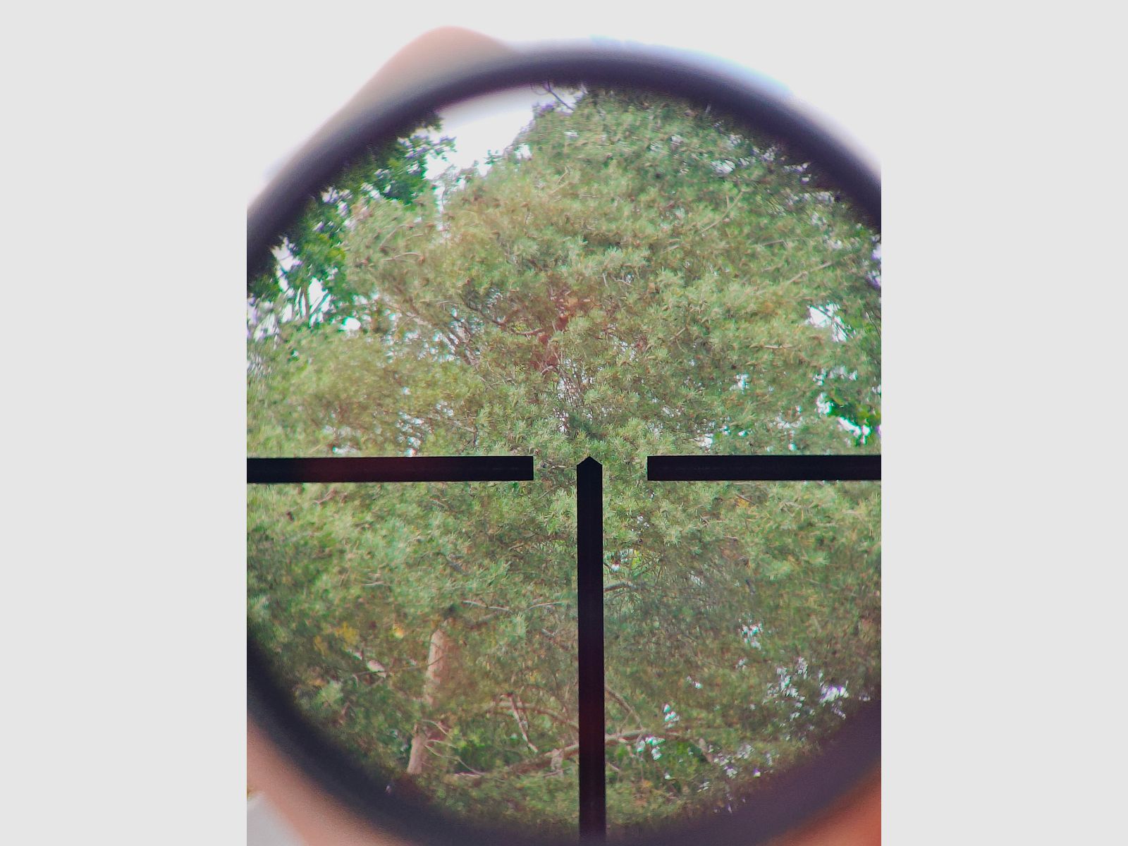 Schmidt und Bender 8x56 con anelli EAW, immagine 1 di 7