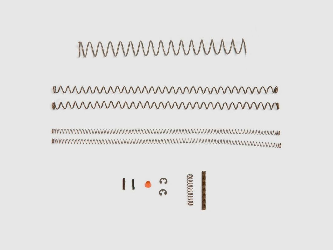 Set di molle Desert Eagle XIX 357Mag