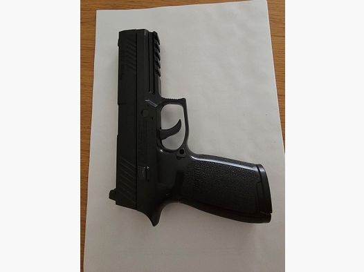 SIG SAUER P320