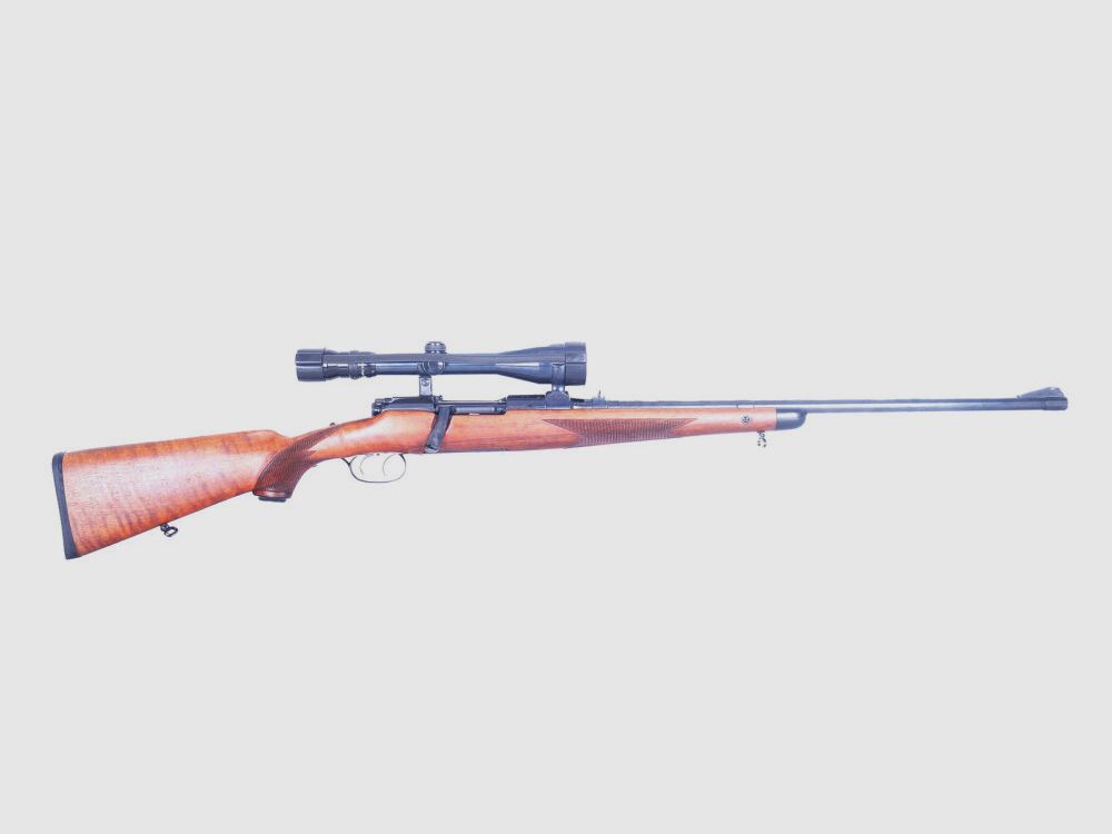 Steyr Steyr-Mannlicher GK