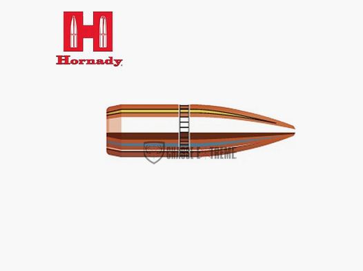 5500 Kogels HORNADY Kal 224 62gr FMJ