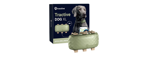 Tractive DOG XL