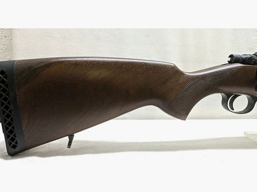 BRNO Arms CZ ZKK 602