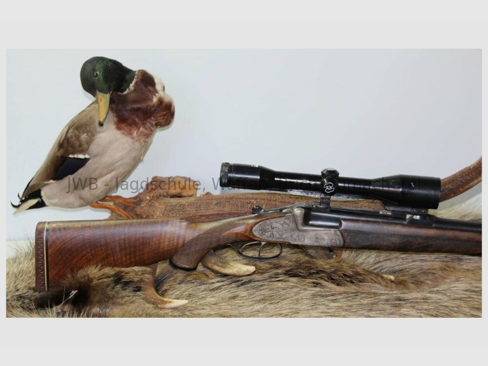 Sodia Bockbüchsflinte mit langen Seitenplatten 16/70;7x57R