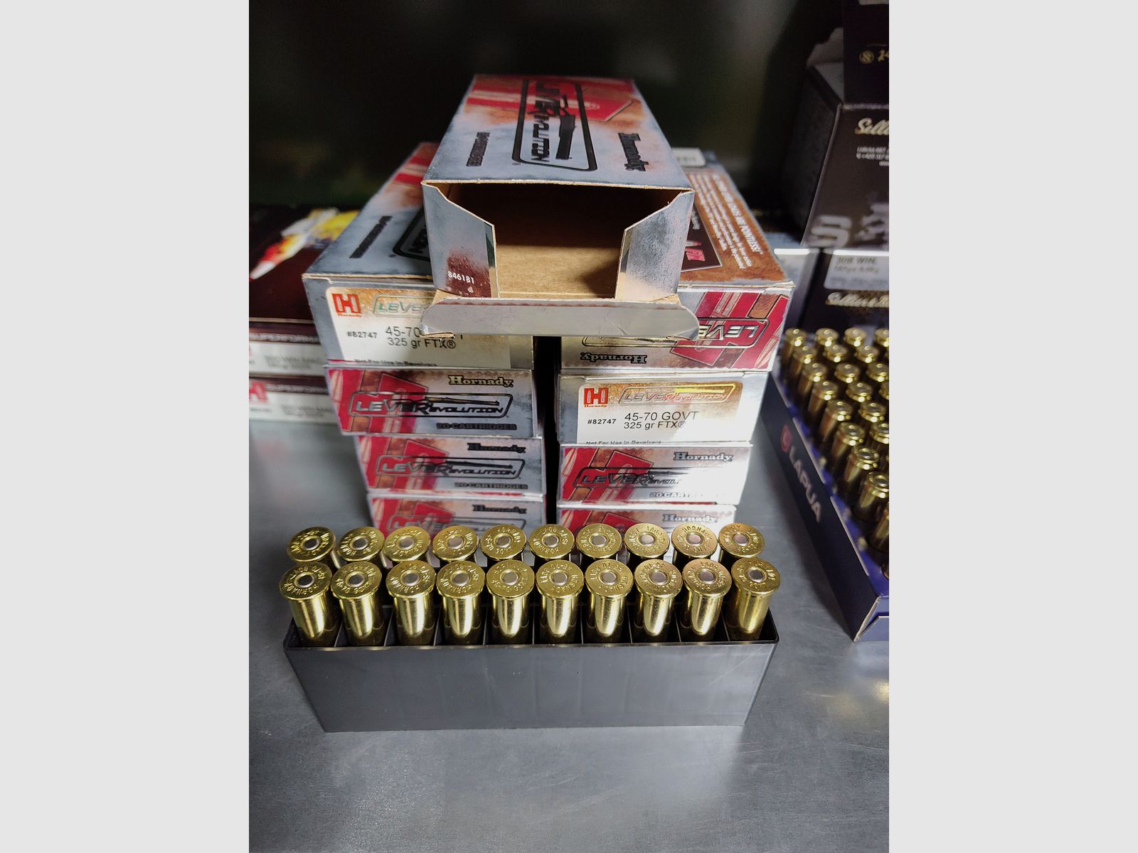 .45-70 Government Hornady LeverRevolution