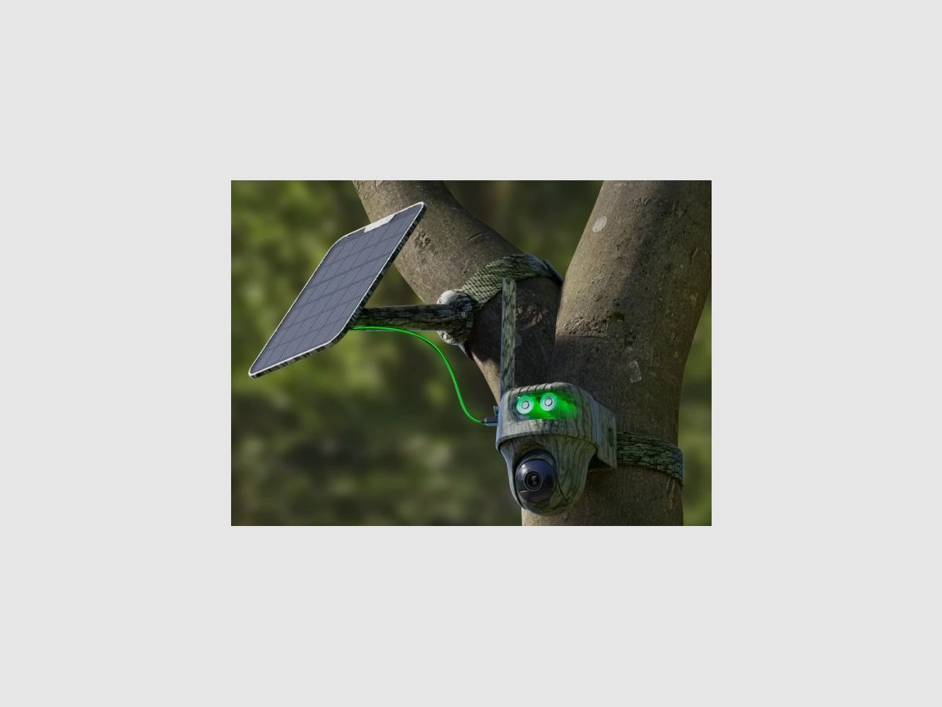 Cámara Reolink G450 4G LTE | 4K 8MP + Pan/Tilt 360°, imagen 4 de 8