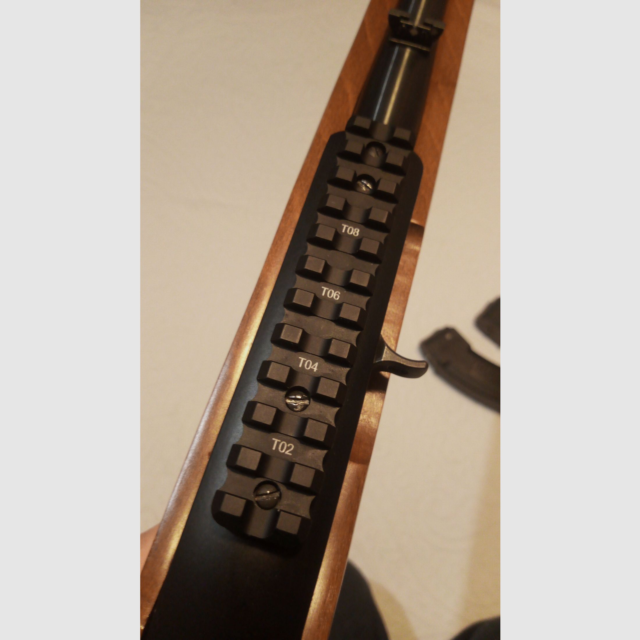 Ruger Carbine 10/22 in .22 lfB gebraucht
