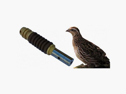 Call for female quail with bellows