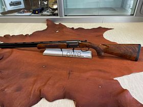 Blaser	 F3 Game