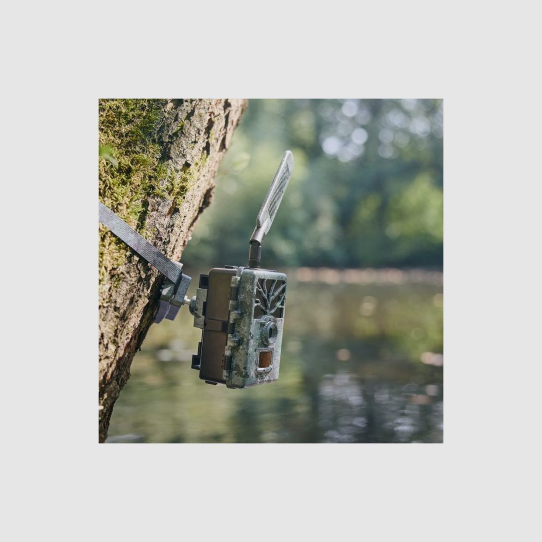Zeiss Wildkamera Secacam 1 (4er Set), Bild 9 von 16