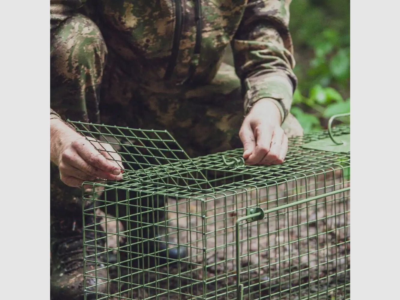 Frankonia piège à capture vivante – porte unique à battants
