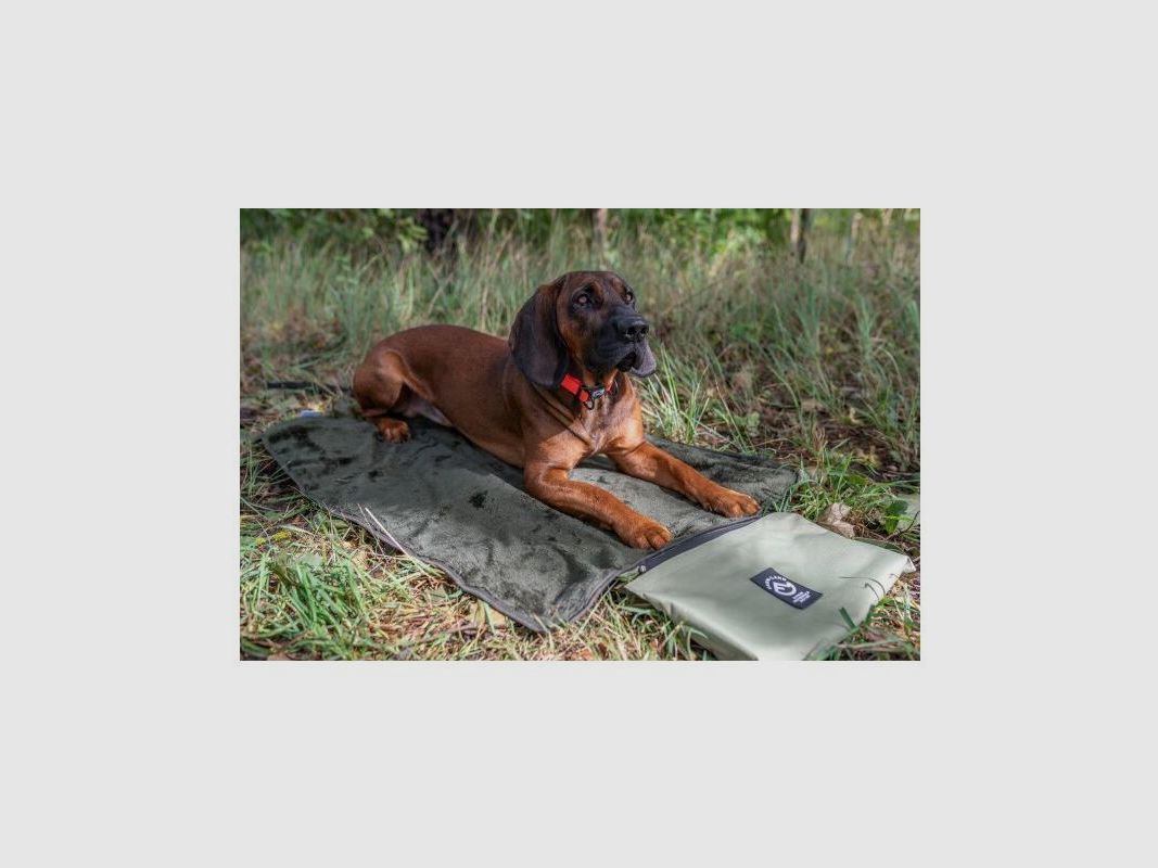 Farm-Land Outdoor-Hundebett