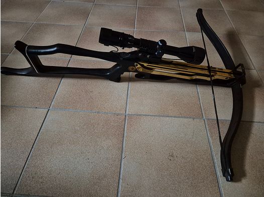Arco de poleas "Knicker"