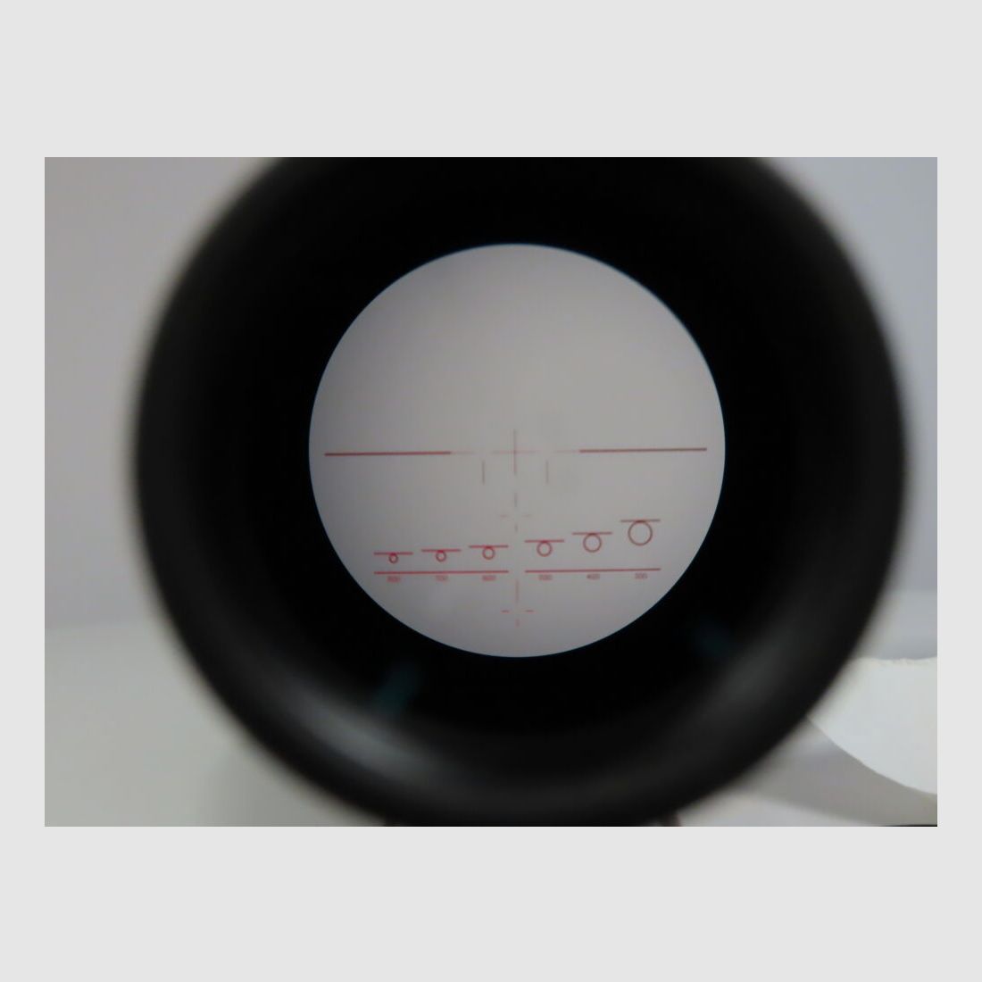 Top Paket Grünig & Elmiger / Schweiz