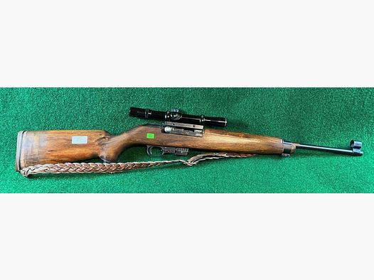 Erma M1 .22lr