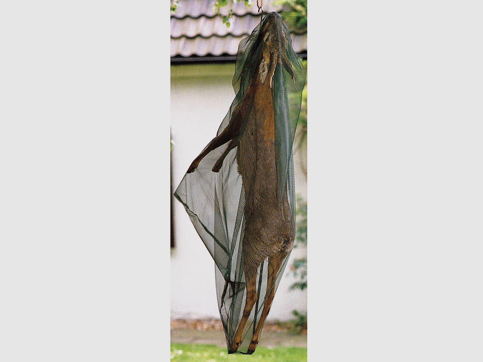 Insektenschutznetz