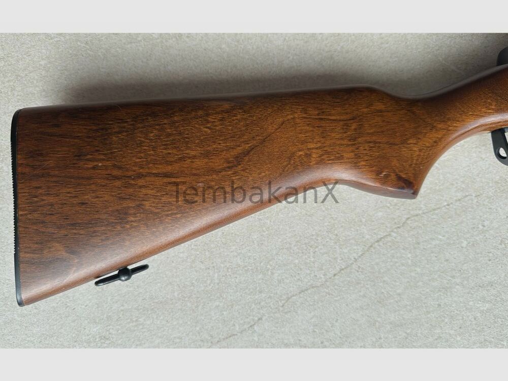 Ruger Mini Ruger 14 .223Rem