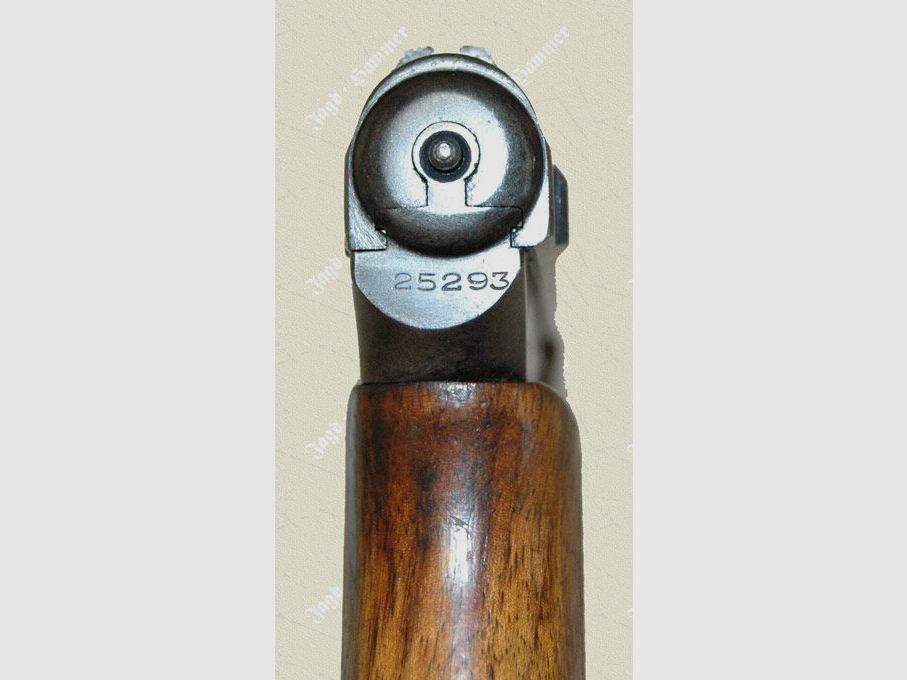 Mauser 1934