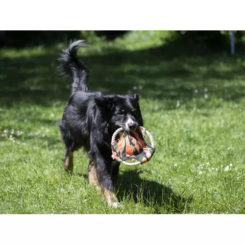Farm-Land Frisbee pour Chiens Camo, image 3 sur 3
