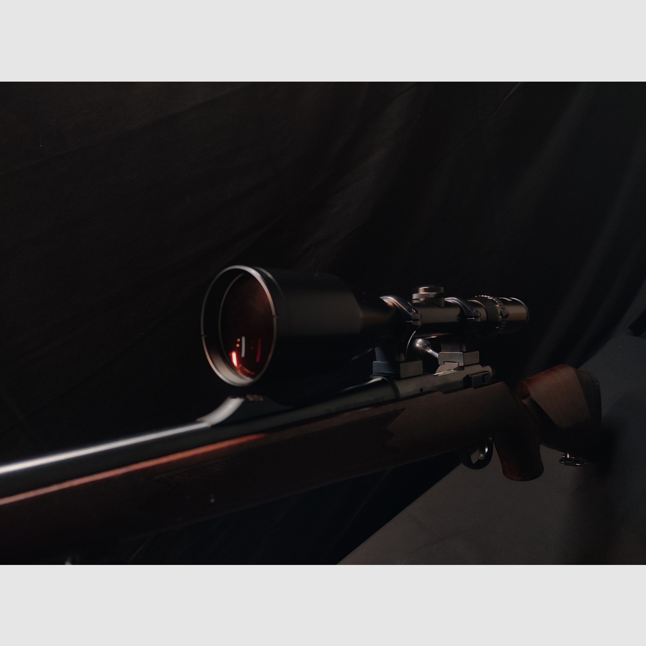  Sako Repetierbüchse Kal. .222 Rem - Schmidt & Bender 2,5–10x56 – Sehr guter Zustand