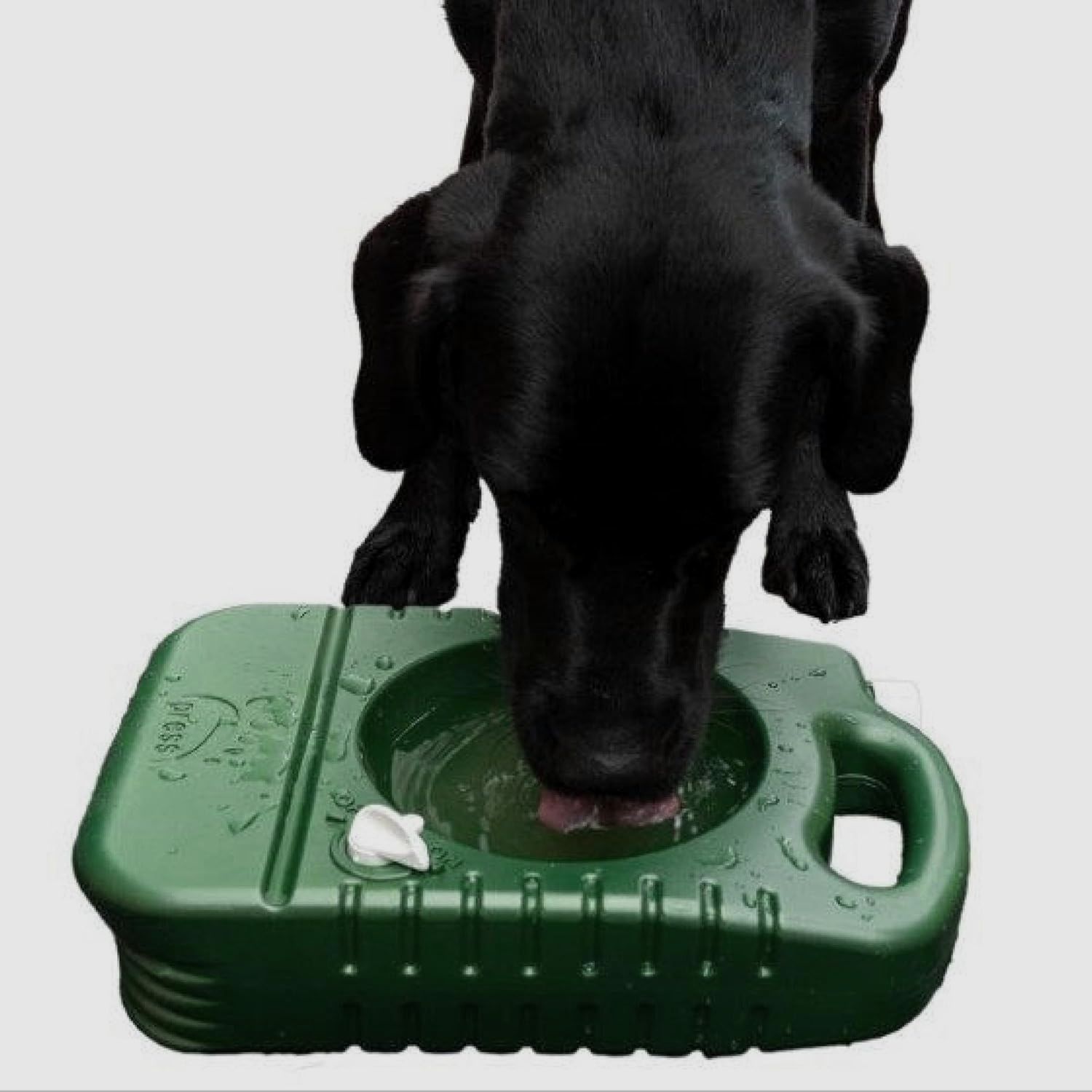 Cuenco portátil Cuenco de viaje & Botella de agua para perros 4 litros