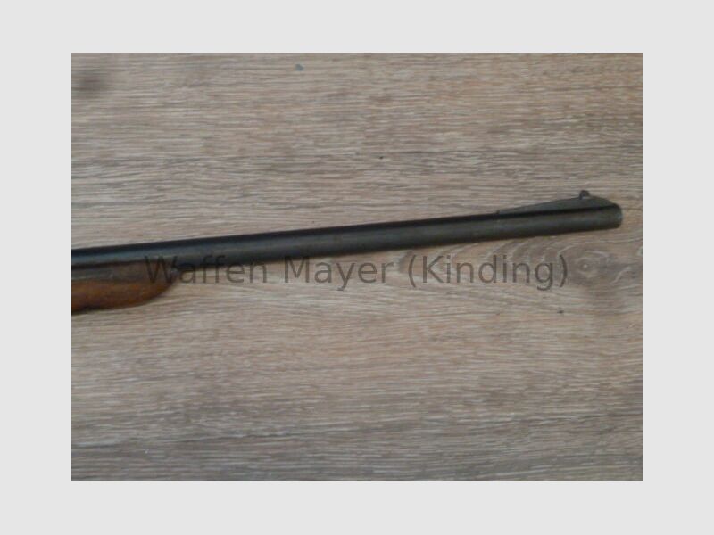 Heinzelmann Mod. Heim