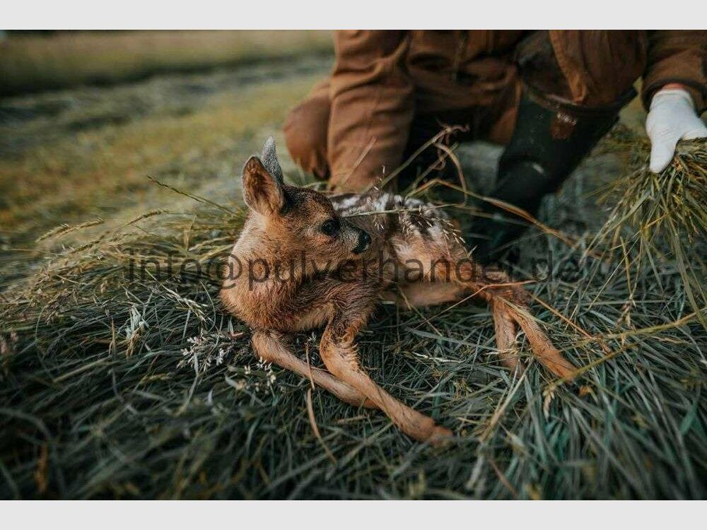 Drone DJI Matrice 4 T toute neuve dans un ensemble avec mallette du commerce spécialisé Introduction de la drone pour le sauvetage des faons, la lutte contre l'ASP, la recherche de personnes disparues et pour l'intervention auprès des autorités.