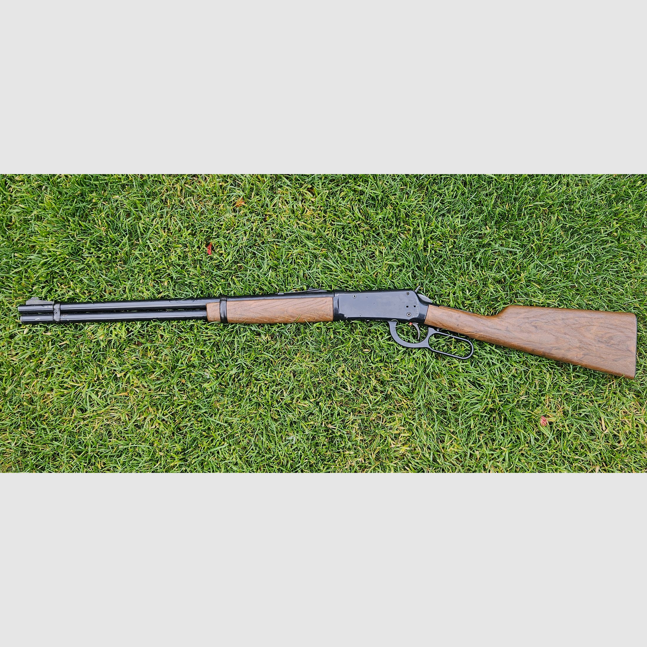 Daisy Rogers AR U.S.A cal.4,5