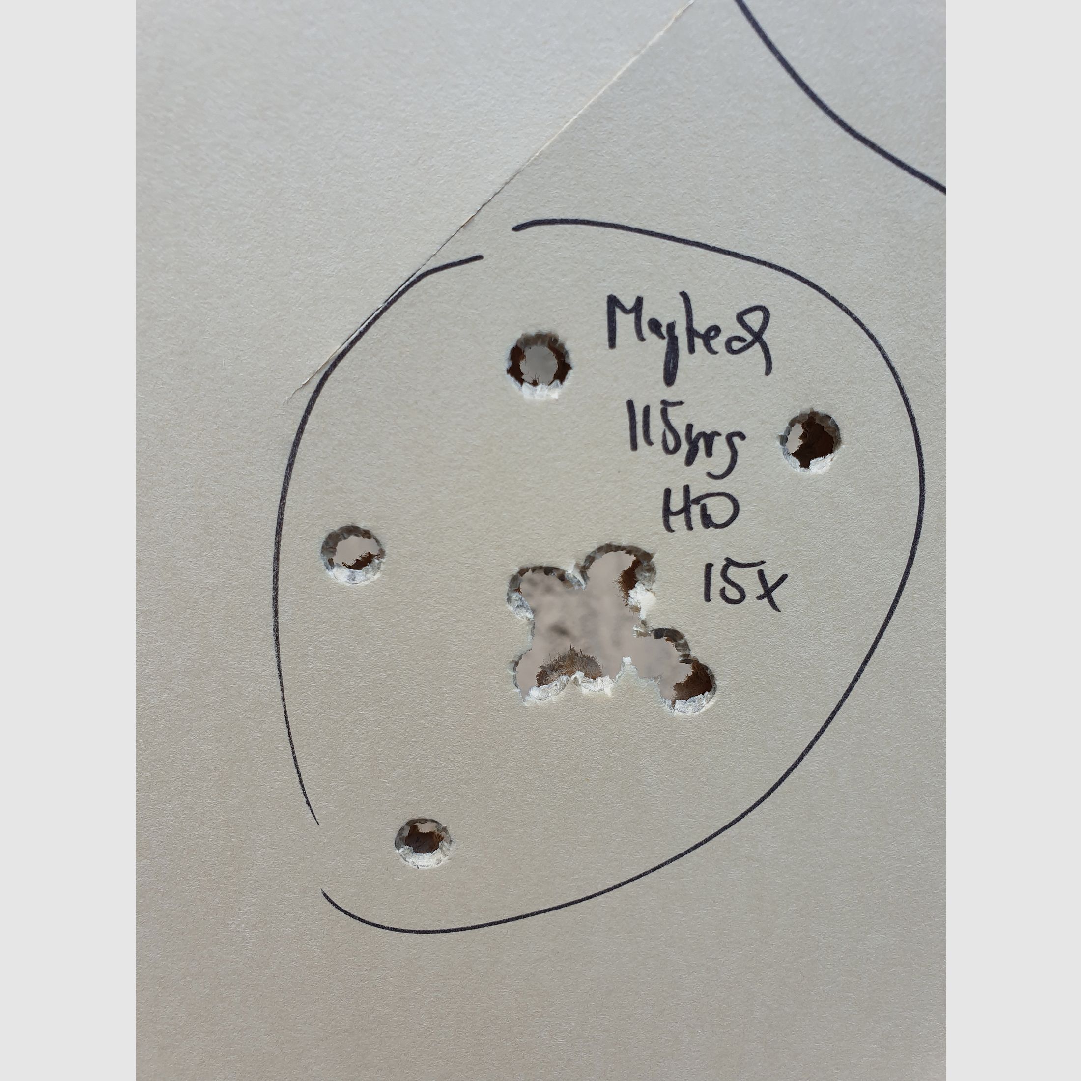 Nowlin Challenger 9mm Luger – Getunt – 3 Positions Aristocrat Sight & Armanov Grips, BDS, BDMP, Multi-distance, PPC1500