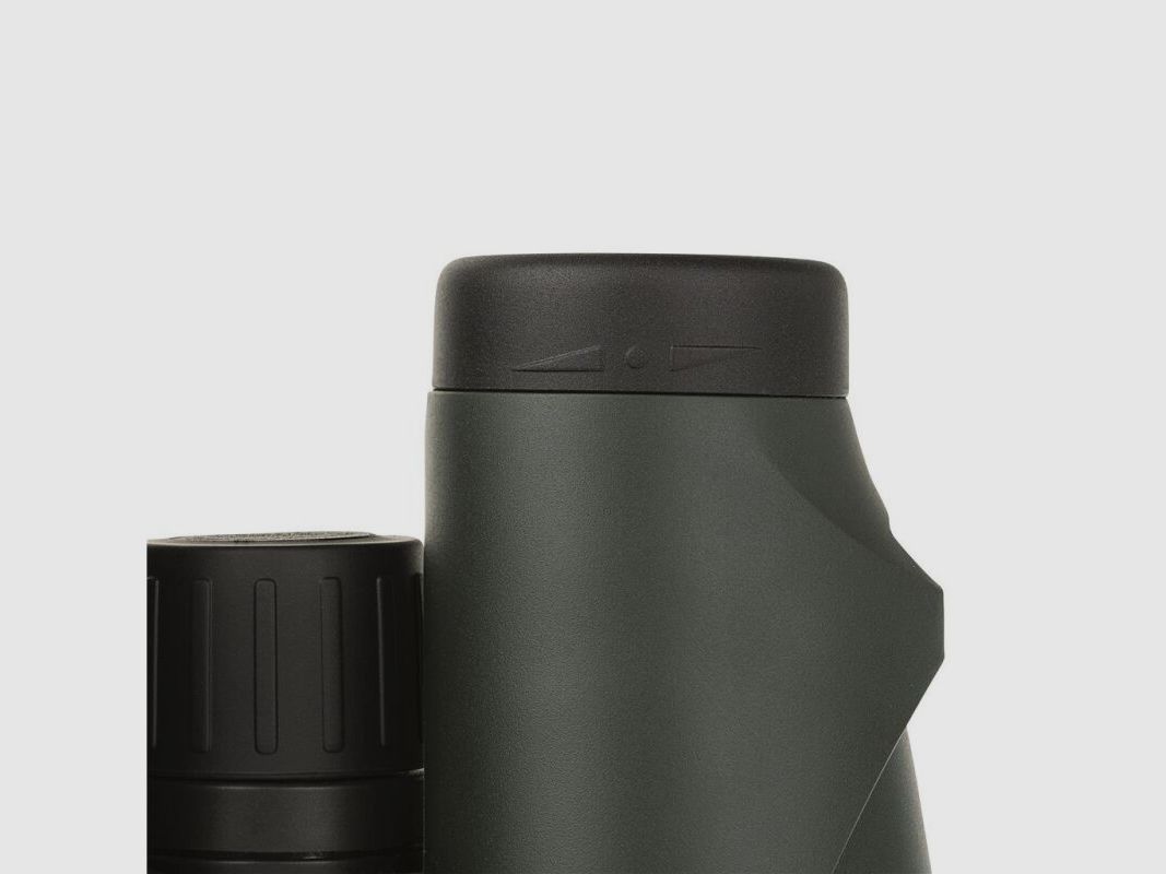 Dörr Fernglas Danubia WildView 8x56 grün
