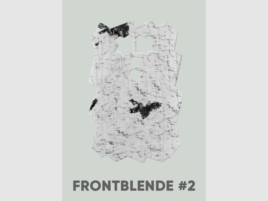 Minox copertura frontale 80408099 betulla DTC 460