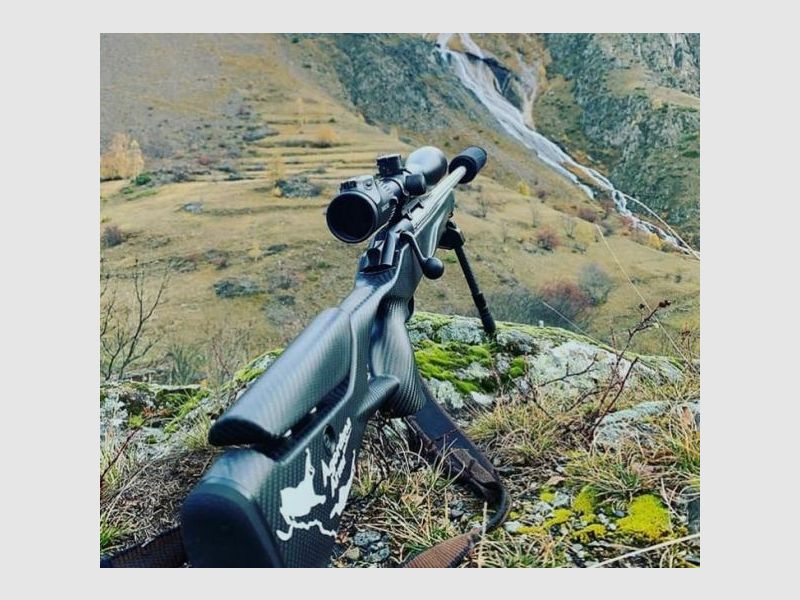 RAVEN euro System mit Schäftung Professional Success Carbon f. Blaser R8