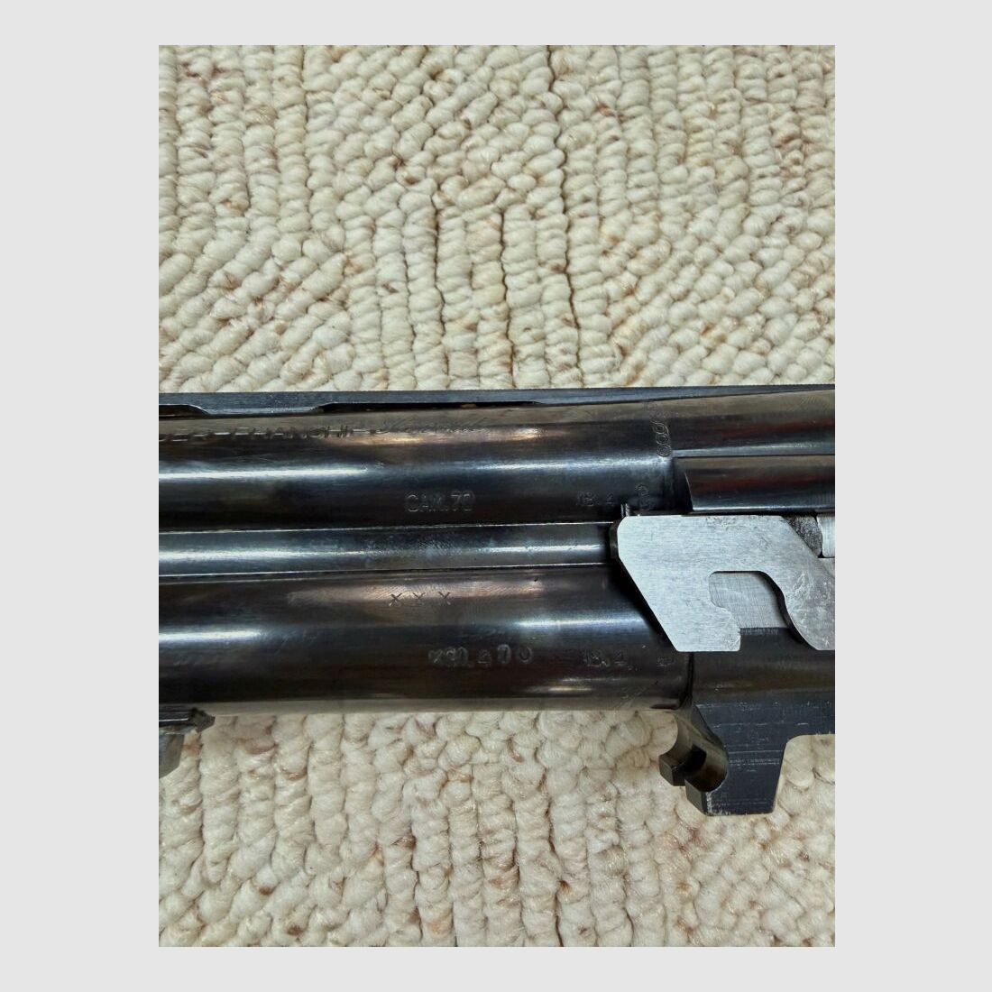 Sauer Franchi