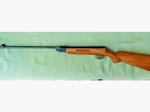  Luftdruckgewehr - Salvia 620