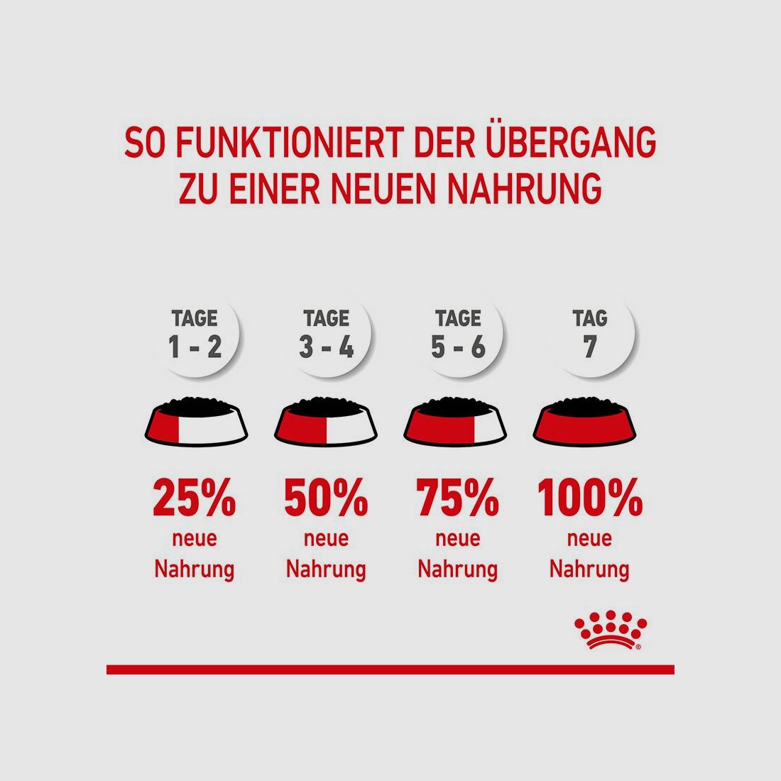 ROYAL CANIN Mittelgroße Hunde Nassfutter Welpen bis zum 12. Monat 10x140 g