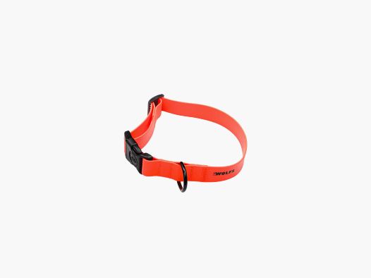 2WOLFS DINGO DOG COLLAR