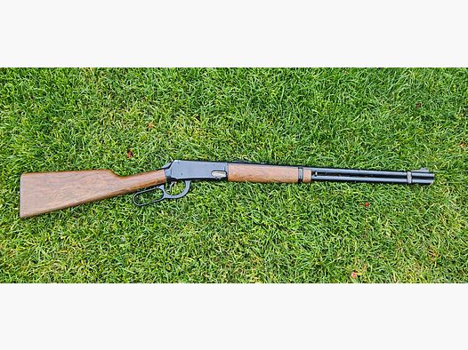 Daisy Rogers AR U.S.A cal.4,5