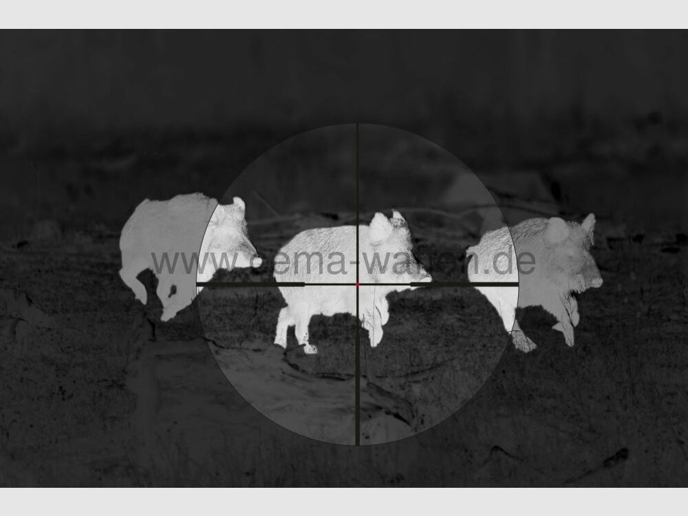 Alpen Optics Germany	 ALPEN Zieloptik Apex XP 1.5–9×45 mit SmartDot Technology