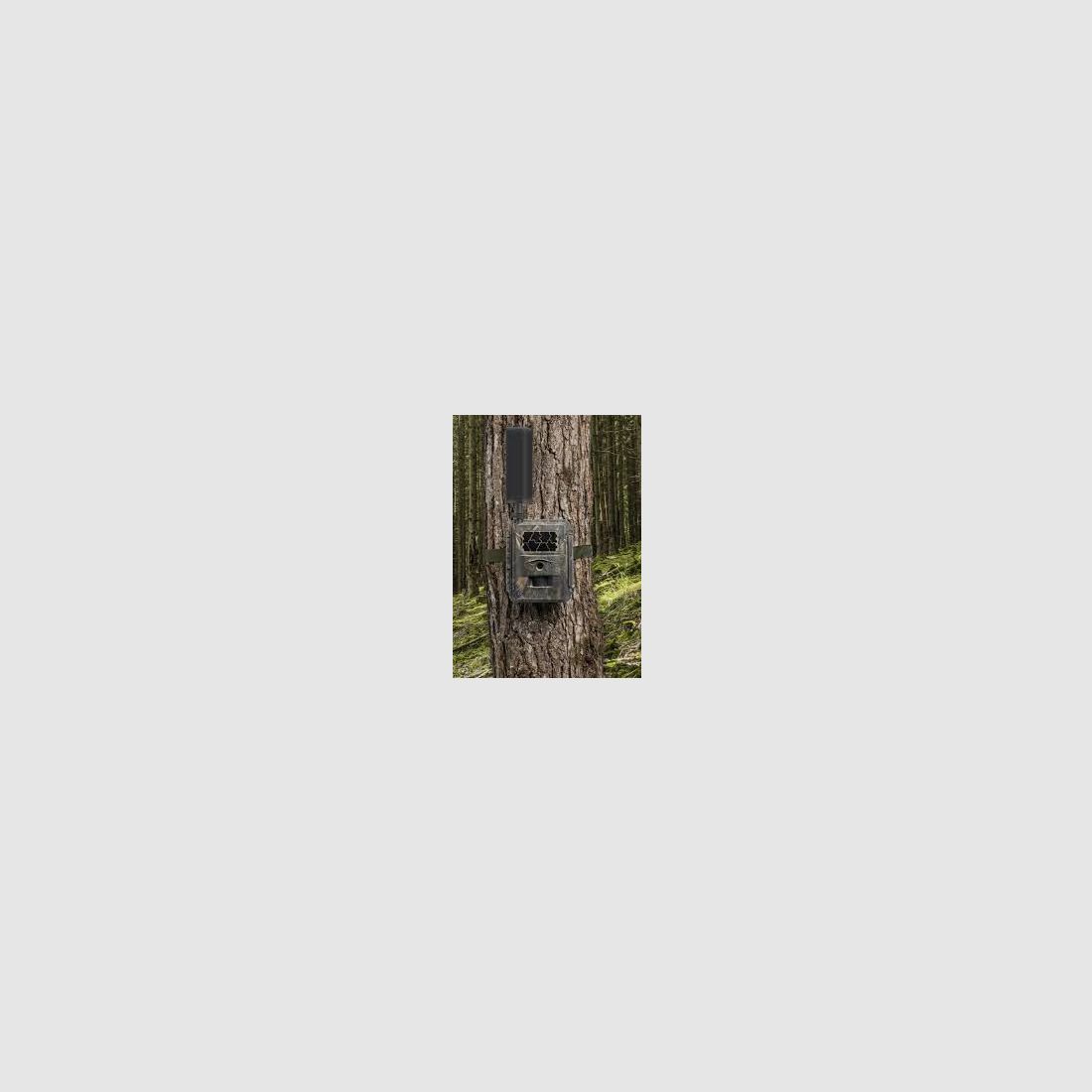 Seissiger Special Cam LTE Wildcamera, afbeelding 2 van 3