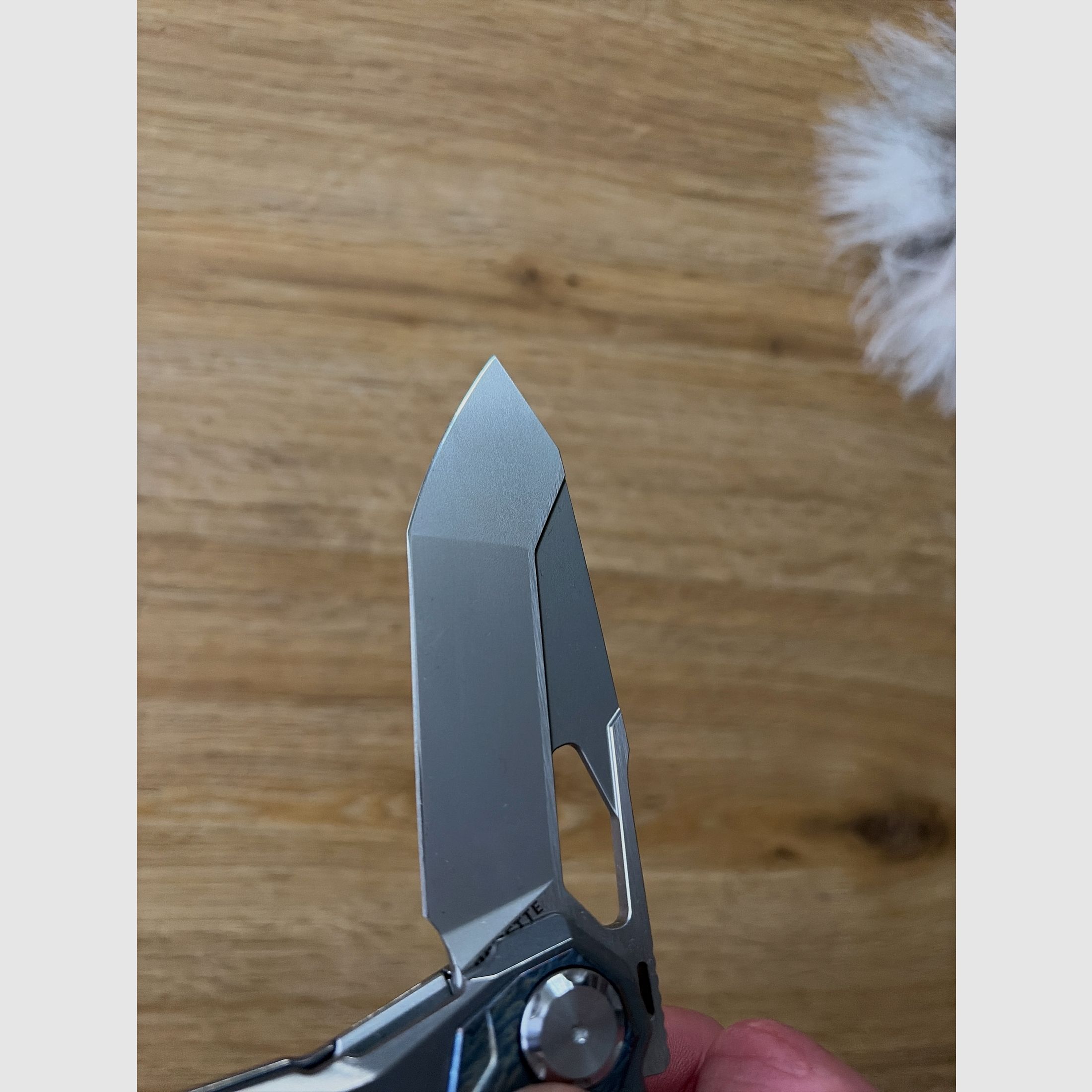 Remette Peregrine Falcon